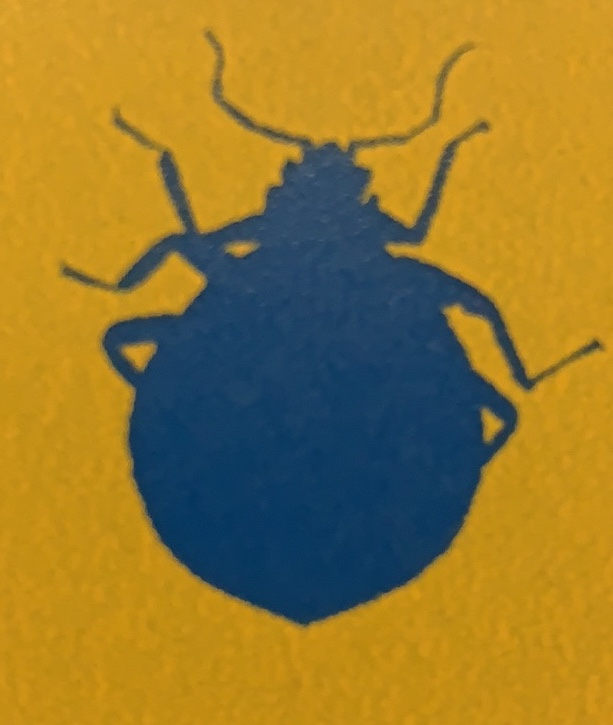 Beginners guide to bed bugs in the Tulsa Metro